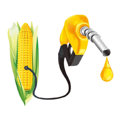 How To Start Biofuel Production Business in Nigeria or Africa: